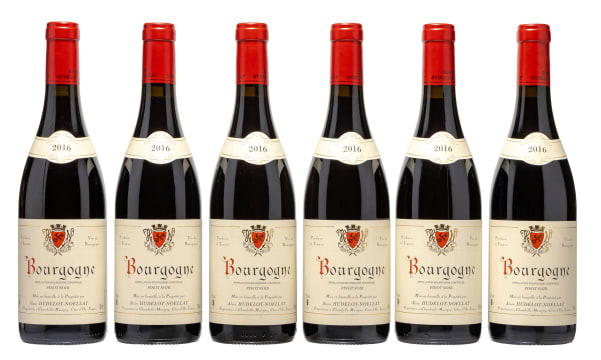 Alain Hudelot-Noëllat; Bourgogne Pinot Noir; 2016; 6 (1 x 6); 750ml