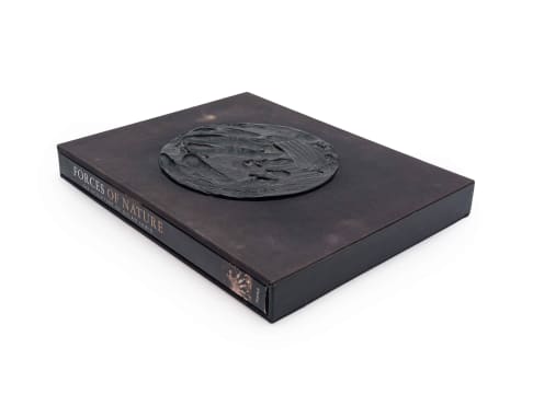 Laura Twiggs (ed); Forces of Nature: The Sculpture of Dylan Lewis