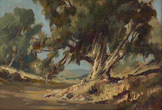 Johannes Oldert; Gumtree at Essexwold