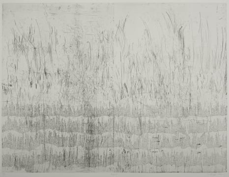 Willem Boshoff; Highveld