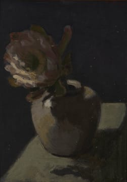 Francois Roux; Protea