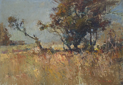 Titta Fasciotti; Grassy Landscape with Thicket