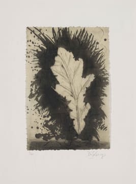 William Kentridge; Leaf, Waiting for the Sybil