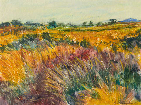 Alice Elahi; Grasses in Dawn Wind, Grunau Namibia