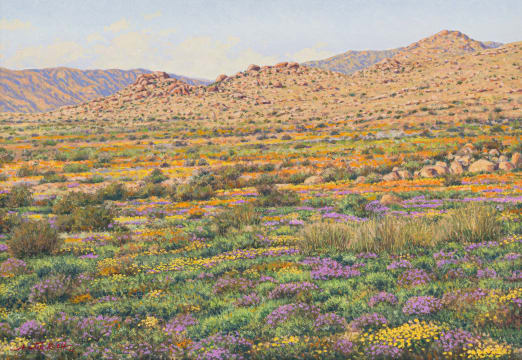 Martin Koch; Namaqualand Scene
