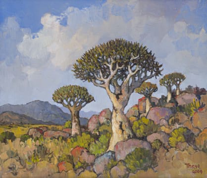 Conrad Theys; Quiver Trees/ Kokerbome, Namaqualand