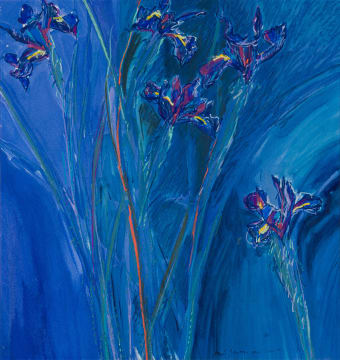 Louis Jansen van Vuuren; Lillies