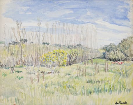 Enslin du Plessis; The Fields