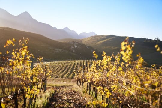 Lismore Estate Vineyards; The Sheltering Sky Syrah; 2024; 36 (6 x 6); 750ml