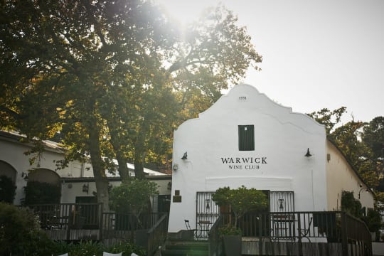 Warwick Wine Estate; Auction Cabernet Franc - Cabernet Sauvignon; 2023; 36 (6 x 6); 750ml