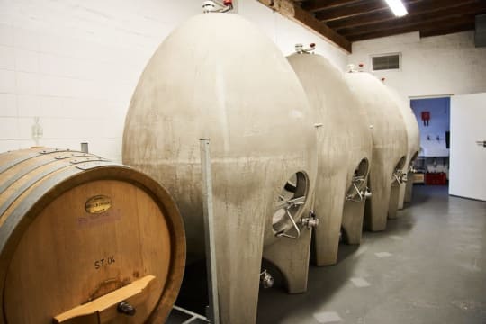 Savage Wines; Auction Syrah; 2024; 36 (6 x 6); 750ml