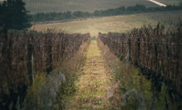 Storm Wines; Bokkeveld Shale Chardonnay; 2024; 12 (2 x 6); 750ml