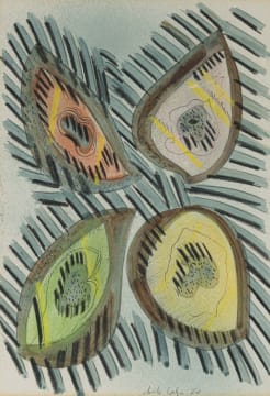 Christo Coetzee; Avocados