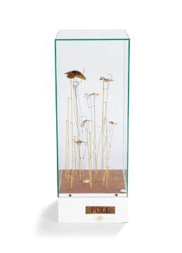 Wessel Snyman; Music Box