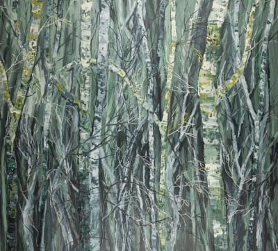 Into the Forest Shadows