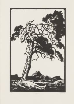 Rooivlagboom (Red Flag Tree)
