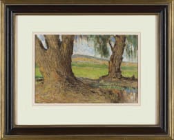 Pieter Wenning; Willow Trees (Meintjieskop), Pretoria