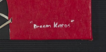 Sas Kloppers; Dream Karos I