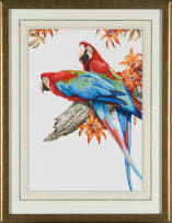 David Ord Kerr; A Pair of Hyacinth Macaws; A Pair of Green-Winged Macaws, two