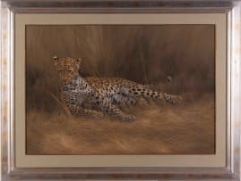 Kim Donaldson; Leopard