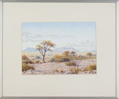 Johannes Blatt; Namibian Landscape I