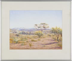 Johannes Blatt; Namibian Landscape II