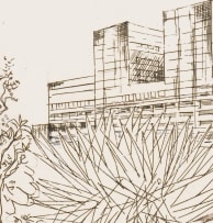 Dirk Meerkotter; Johannesburg Hospital Centenary – The Old and New Buildings, two