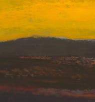 Herman van Nazareth; Yellow Landscape