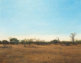 Walter Meyer; Kalahari Landscape