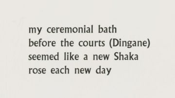 Cecil Skotnes; Shaka's Bath, no. 28