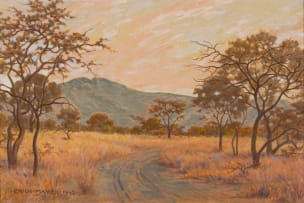 Erich Mayer; Bushveld Landscape
