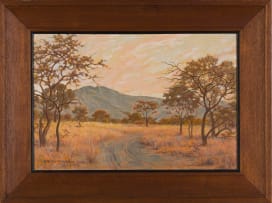 Erich Mayer; Bushveld Landscape