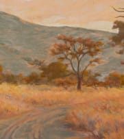 Erich Mayer; Bushveld Landscape