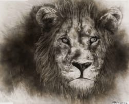 Bambo Sibiya; Lion