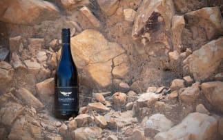 Eagles' Nest; Shiraz; 2011; 6 (1 x 6); 750ml