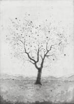 Nicola Taylor; Tree of Life