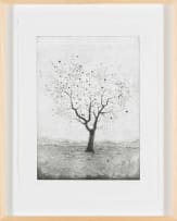 Nicola Taylor; Tree of Life