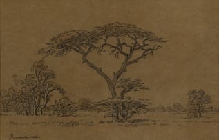 Jacob Hendrik Pierneef; Tree in a Landscape