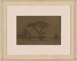 Jacob Hendrik Pierneef; Tree in a Landscape