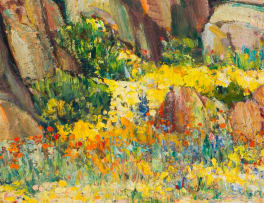 Hugo Naudé; Namaqualand Flowers and Quiver Tree