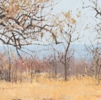 Francois Koch; Bushveld Landscape with Trees