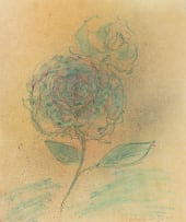 Christo Coetzee; Roses