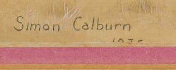 Simon Calburn; Plum-Coloured Starling, Cinnyricinclus leucogaster