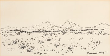 François Krige; Karoo Landscape