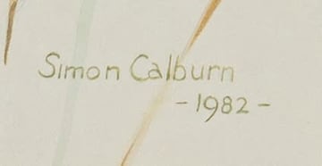 Simon Calburn; Yellow-Fronted Canary