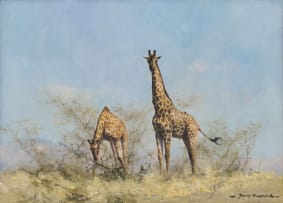 David Shepherd; Giraffe Pair