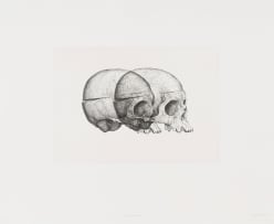Gerhard Marx; Binocular Skull 2