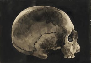 Walter Oltmann; Skull