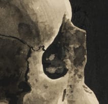 Walter Oltmann; Skull