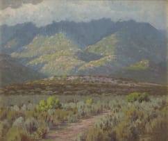 Jan Ernst Abraham Volschenk; Sunlit and Cloud-shadow, Phisantfontein, Riversdale